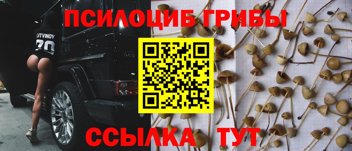 Кимры  Псилоцибиновые грибы ЛСД  закладка  Вход с VPN 