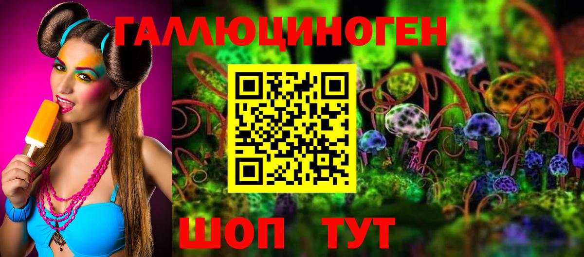 Галлюциногенные грибы Cubensis Кимры